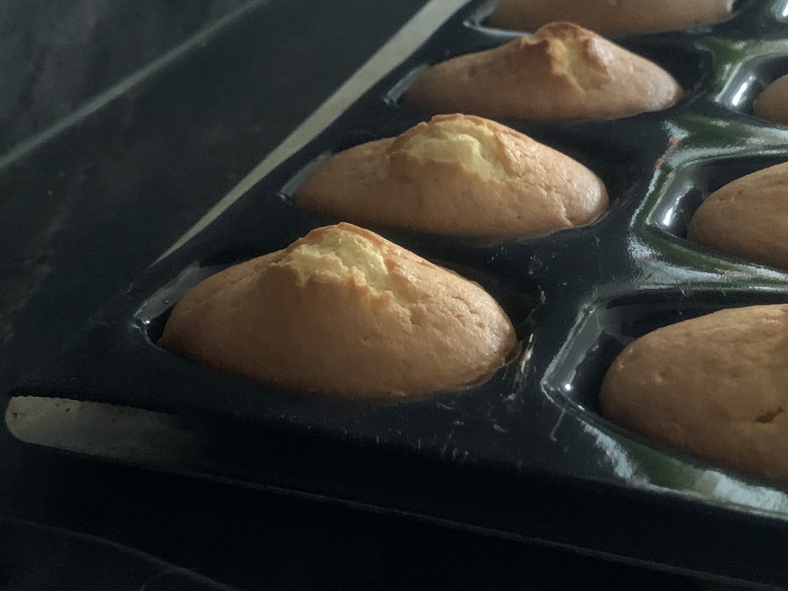 Madeleines dorées tout juste sorties du four